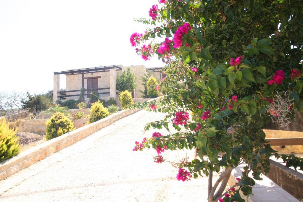 Princess Apartment Gavdos